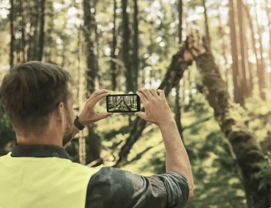 Man photographing a forest scene with his phone.
