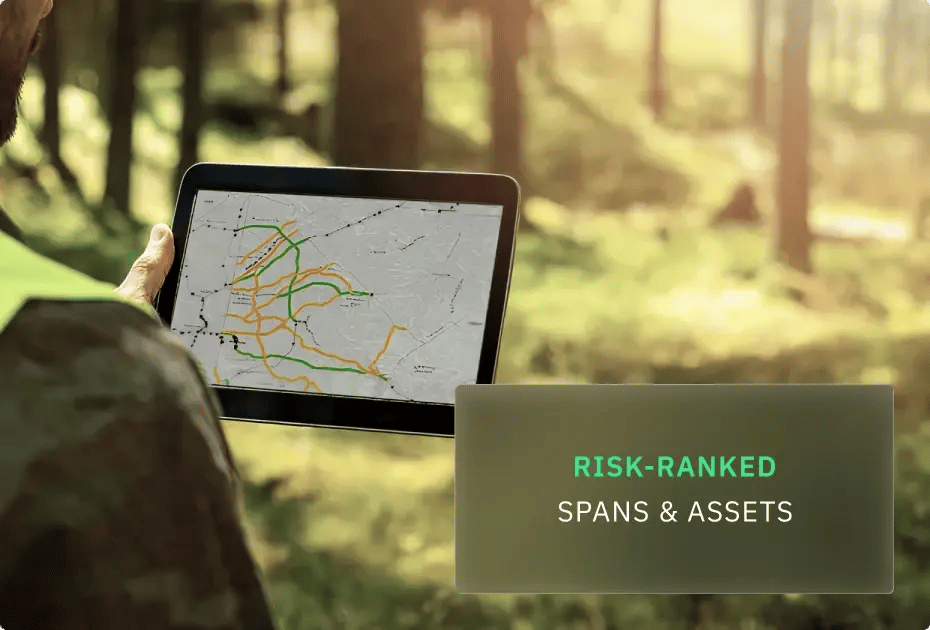 Person analyzing risk-ranked spans &amp; assets using a tablet in a forested area.