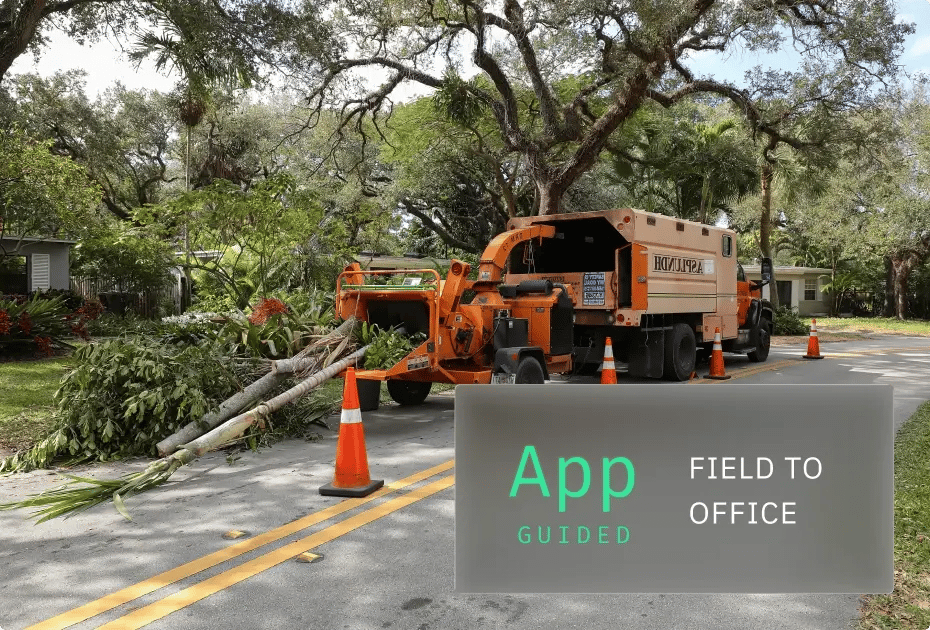 Tree removal truck with branches on road; traffic cones for safety.
