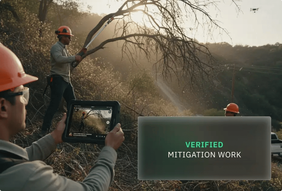 Workers wearing safety gear perform mitigation work outdoors, with one using a tablet to document the process.