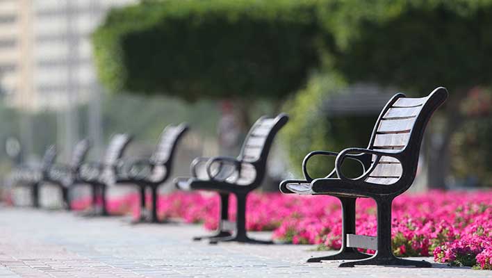 Empty park benches