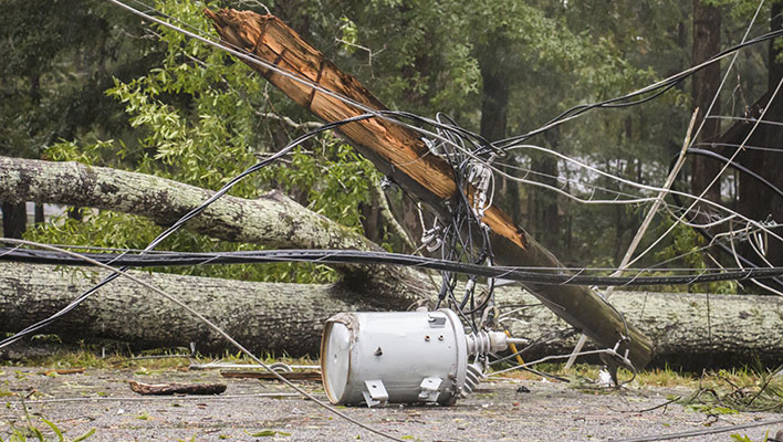 A tree that has collapsed on a power line