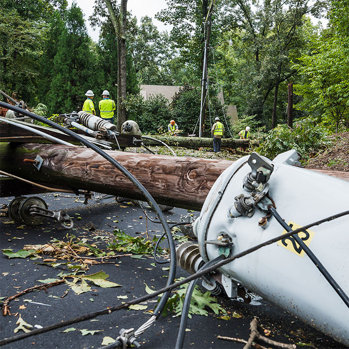 Closeup of a collapsed power pole on the ground in front of fallen trees