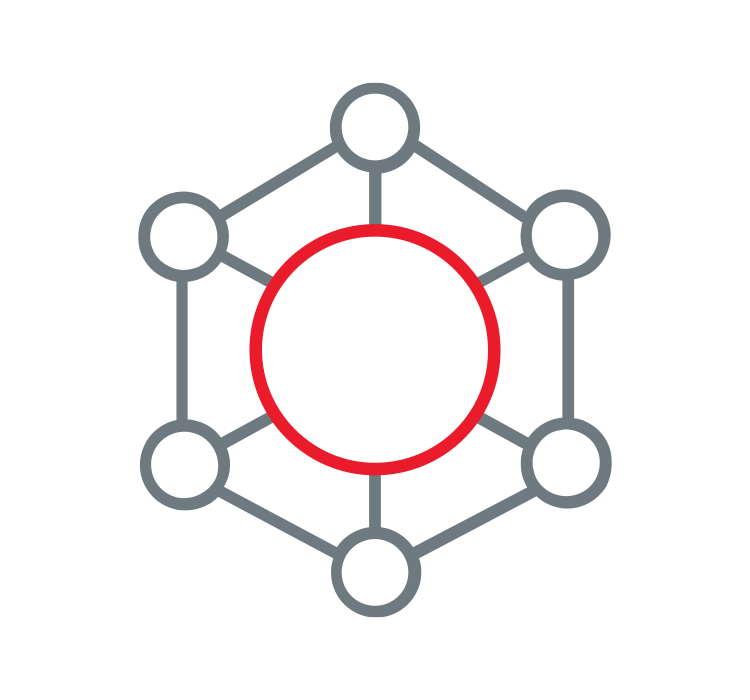 An icon of a large red circle connected to several smaller surrounding circles in a web