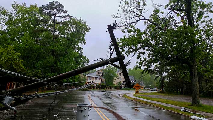 Transmission line which has fallen across the road