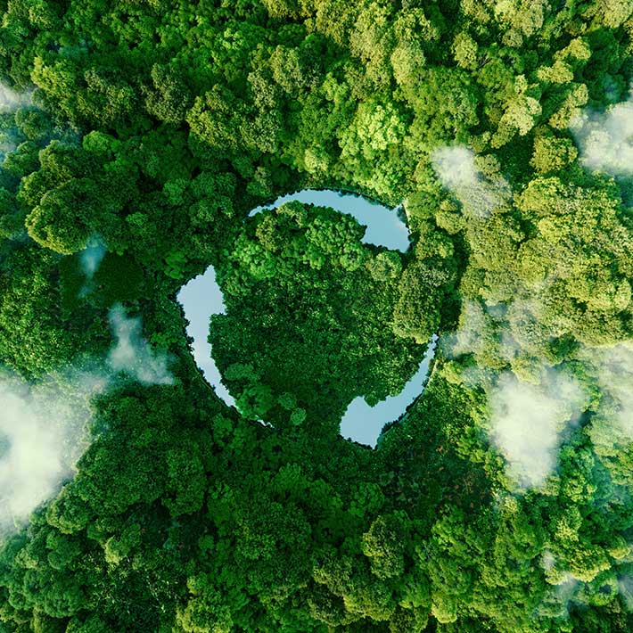 Birds eye view of a forest with water in the middle